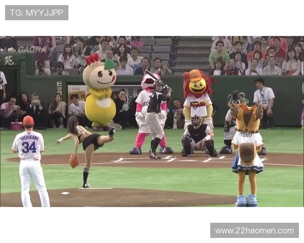 2026年国际棒球比赛：期待精彩对决与新星崛起